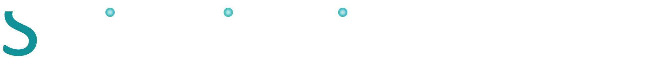 Triveni Strips Pvt. Ltd.
